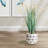 Desra Black Ceramic Pot Planter