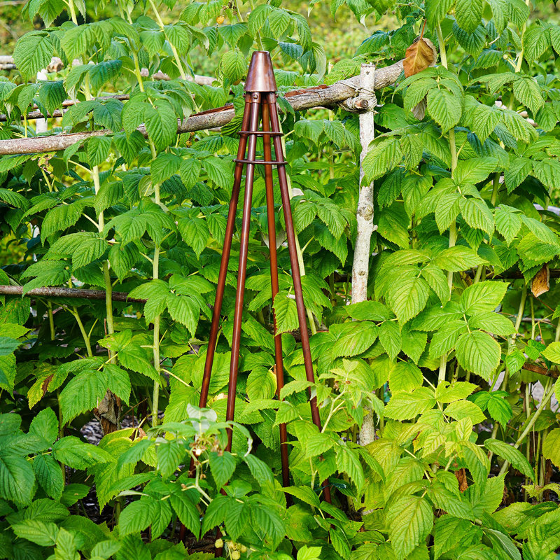 Climber Tripod, Bronze