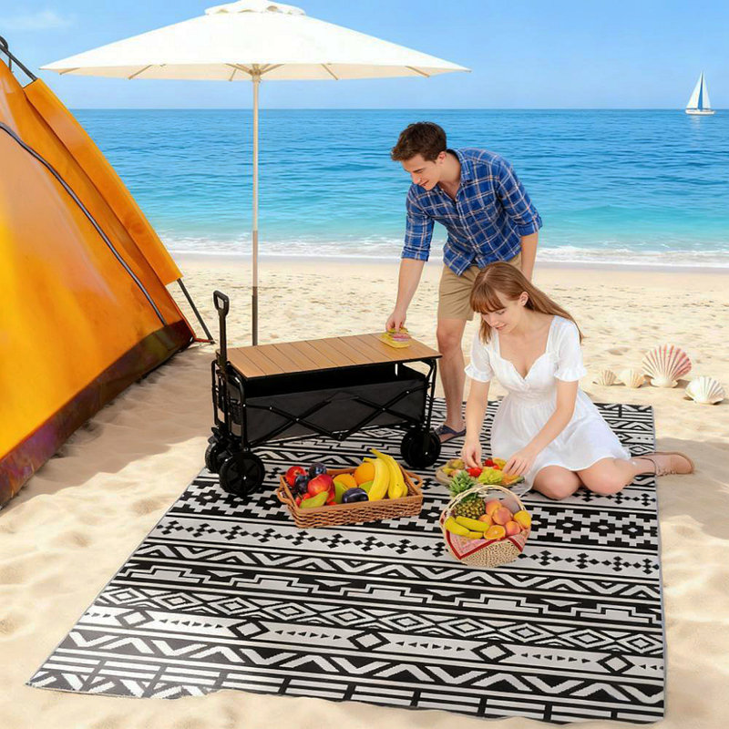 Outdoor Rug,Reversible Outdoor Rug,Waterproof Plastic Straw With Carry Bag, Black/White, Rectangle 6' x 9'