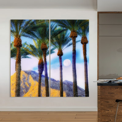 " Moonlit Oasis "