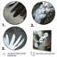 Gris perroquet en vol I - art mural perroquet-1696314290-1760488037
