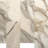 4 x 12 Calacatta Gold Marble Subway Tile
