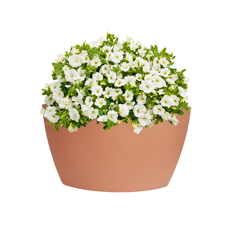 Corner Plastic Pot Planter, Terra Cotta
