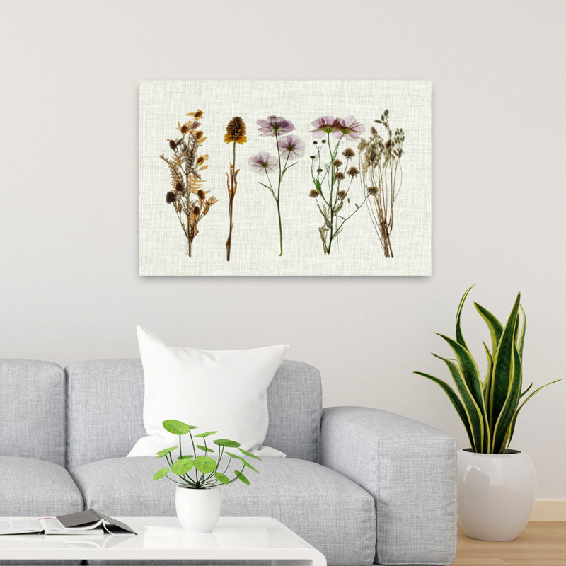 Fleurs pressées pour vous IV, art mural rustique rétro, architecture naturelle, H 24 po x l 36 po