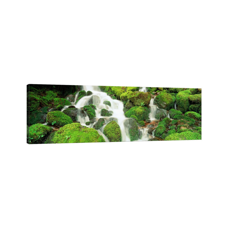 Sol Duc Falls, Olympic National Park, Washington, USA by Panoramic Images - Wrapped Canvas Panoramic Print