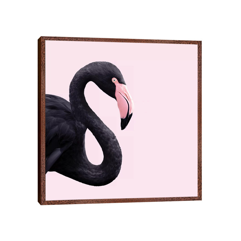 Black Flamingo by Paul Fuentes - Print on Canvas, 93.98 cm H x 93.98 cm W x 1.91 cm D, Brown Framed