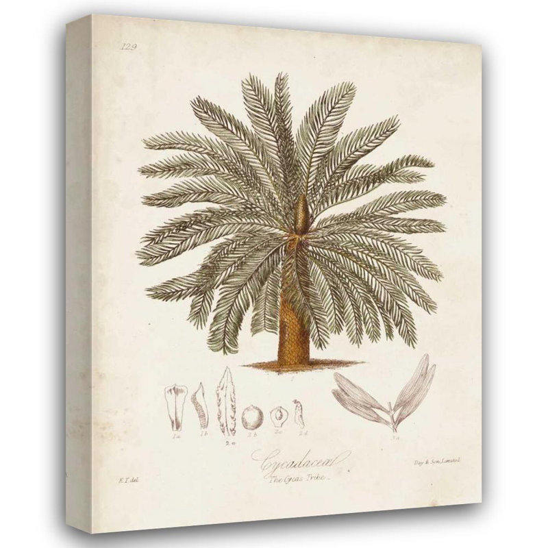 Bayou Breeze Tropical Palm