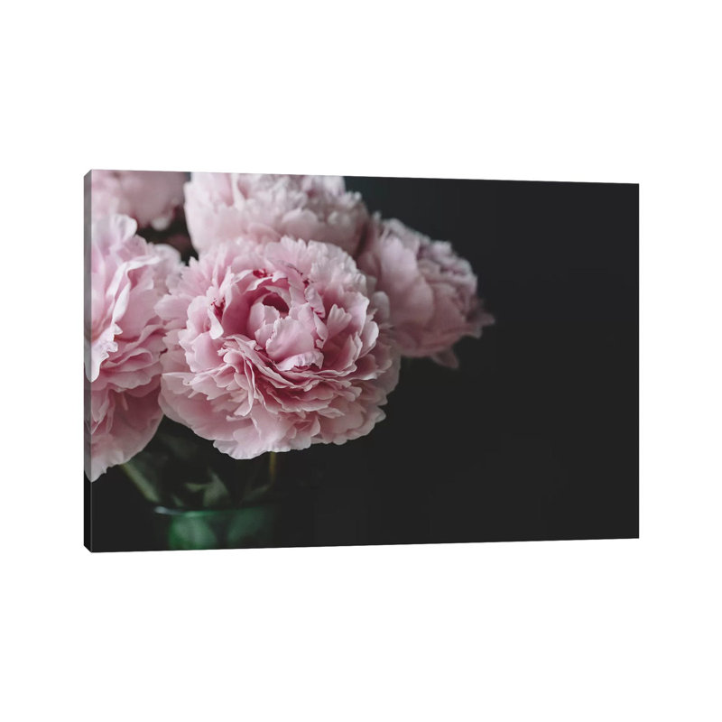 Peonies On Black I by Chelsea Victoria - Wrapped Canvas Print, 20.32cm H x 30.48cm W