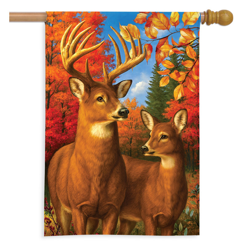 Drapeau de maison « Couple de cerfs d'automne » 28x40