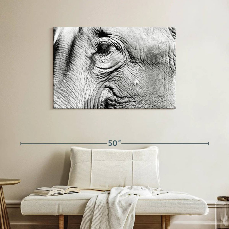 Brampt Elephant Close Up BW, 26" H x 39" W