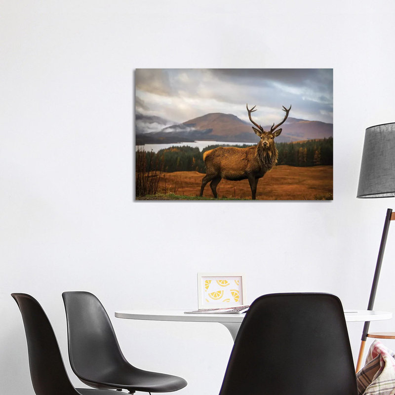 Scottish Stag by Adrian Popan - Wrapped Canvas Gallery-Wrapped Canvas Giclée, 101.6 cm H x 66.04 cm W x 1.91 cm D