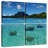 Brampt Bora Bora Stingrays-109038380