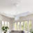 38 Inch Ceiling Fan Without Light