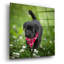 «Black Lab Pup 3» par Jonathan Ross-314093028