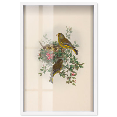 «Poem of New Life Shadowbox», reproduction d'art botanique par Art Remedy