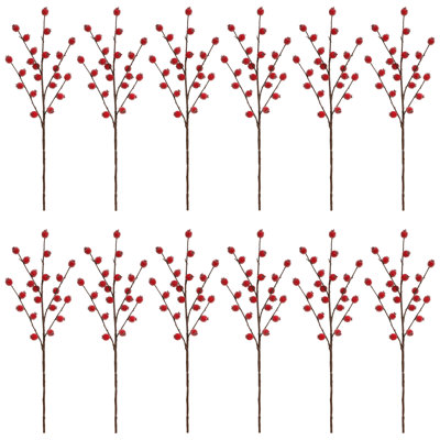 Vaporisateur de baies rouges, ensemble de 12 à 35 pouces