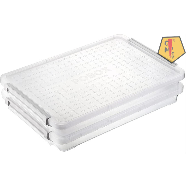 BTSKY Clear Plastic Storage Box with Flap Lid, Multipurpose Large