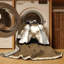  Tapis lavable havanais pour chiens-1376025648