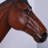 Horse Head Statue-794917889