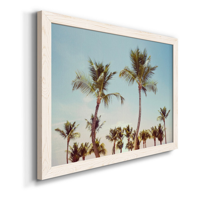 Aruba Palm - photographie avec cadre photo sur toile, Blanc, H 20 po x l 17 po x P 1,5 po