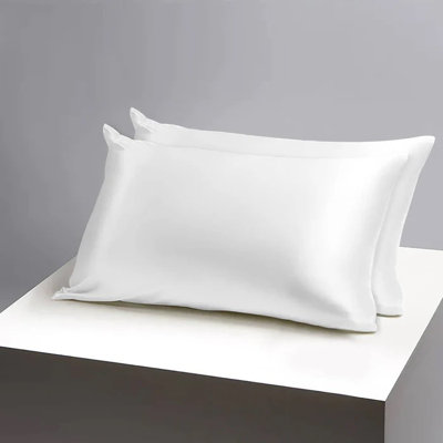 Easy Care Satin Pillow Covers (Set of 2) - Envelope Closure, Wrinkle-Free, Silky Satin Fabric