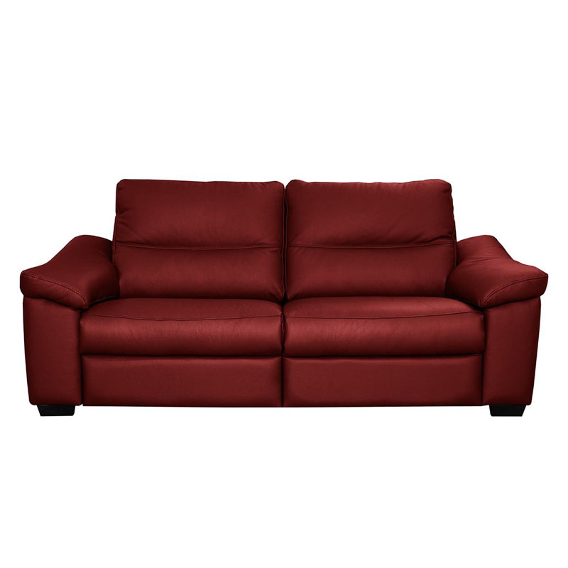 Edeltrudis Genuine Leather 2 Seater Reclining Sofa, Red, 100cm H x 212cm W x 95cm D