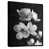 Toile avec cadre flottant noir sélectionné