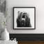 Single Picture Frame Print-21011614