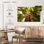 Arbres Harnek Waipoua Kauri-106848635
