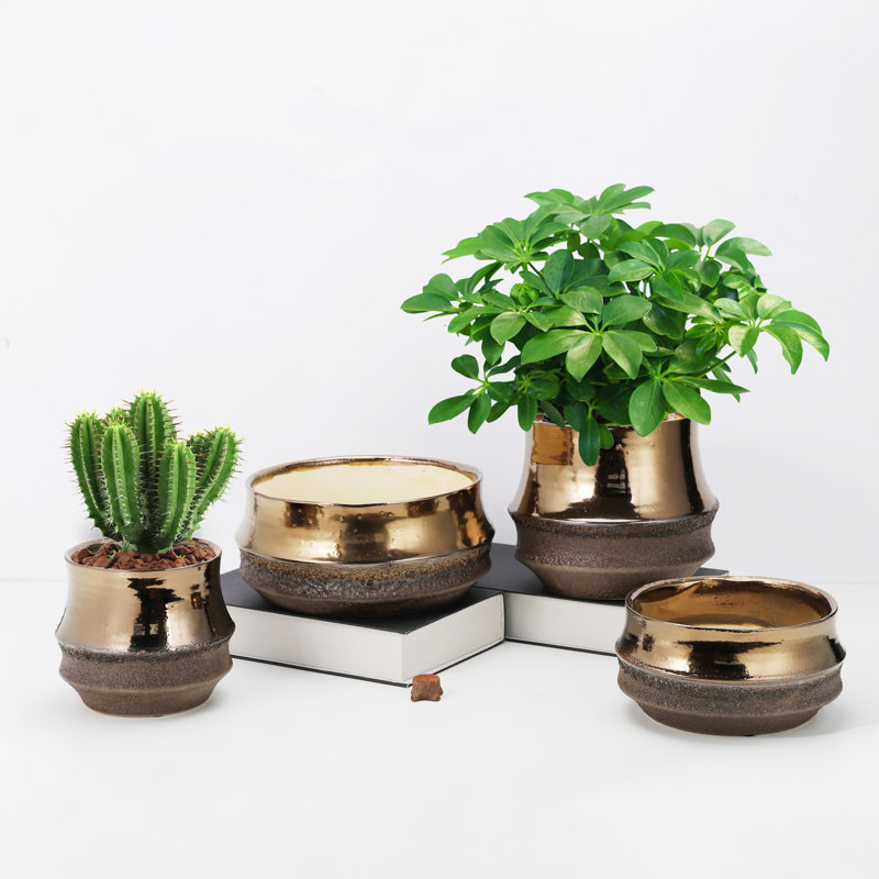 Pots de fleurs en céramique émaillée Santa Barbara Bowls (lot de 4) - Intérieur/Extérieur, Rustic Gold
