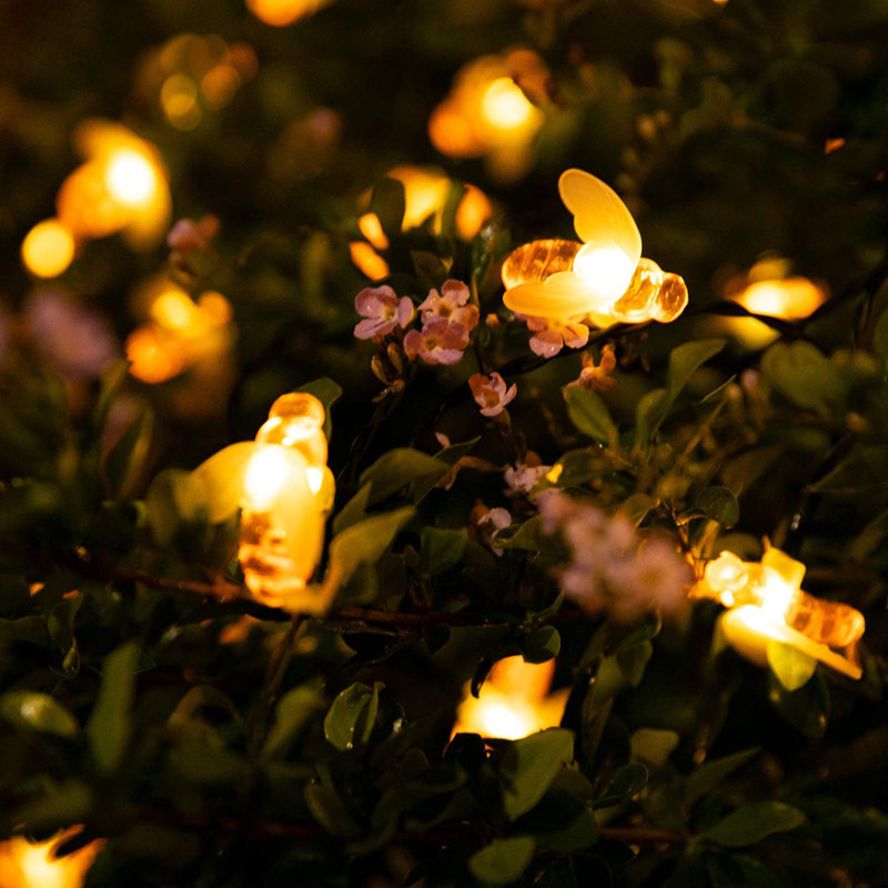 Almazan Indoor 30 - Bulb 275'' Solar Powered LED Novelty String Light