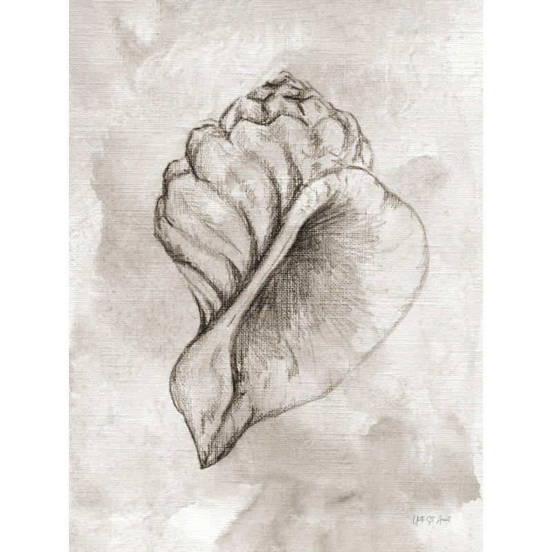 «Lightning Whelk» par Yvette St. Amant, Imprimé à cadre argenté, Oui, H 40 po x l 30 po