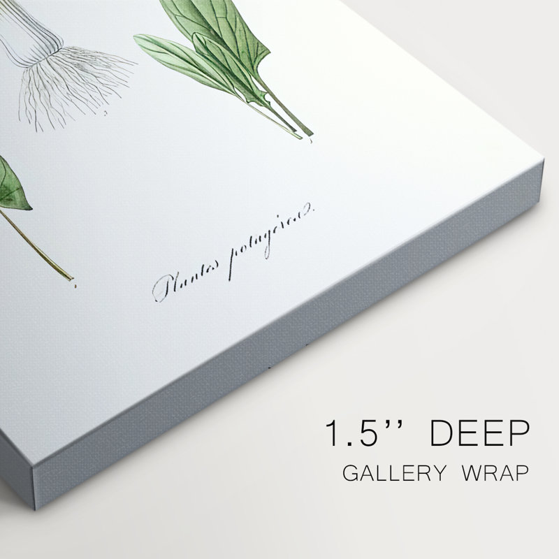Variétés de fruits et de légumes I - Cavas enveloppés de galerie, H 18 po x l 12 po
