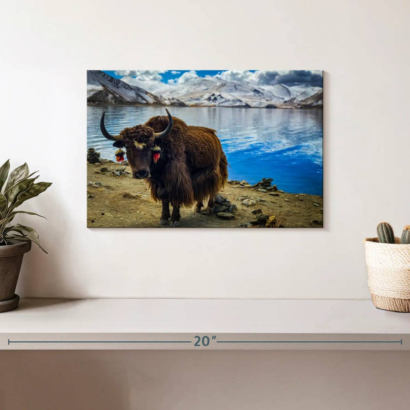 Crowle Tibetan Yak, 8" H x 12" W