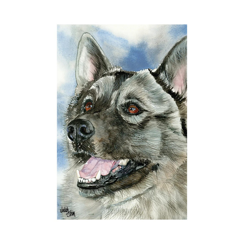 Elkie - Norwegian Elkhound by Judith Stein - Wrapped Canvas Painting, 45.72cm H x 30.48cm W