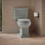 Memoirs® Comfort Height Elongated Toilet Bowl with Exposed Trapway-2135590887