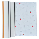 Caterpillar Doodle Stripe Foam Playmat