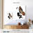 Kelan Lady's Metamorphosis-108485291