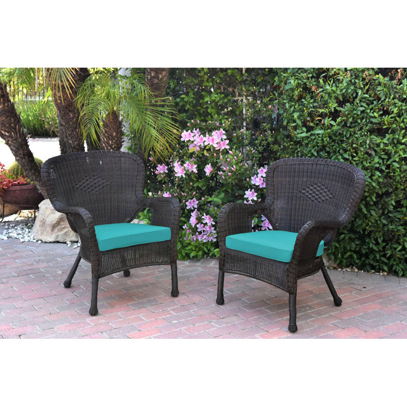 Batchelder Wicker Outdoor Lounge Chair, Turquoise, Espresso