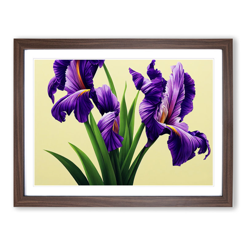 Contemporary Iris Flowers - Framed Print, 25cm H x 34cm W x 2cm D, Walnut