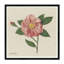 Wild Rose Print-637457533