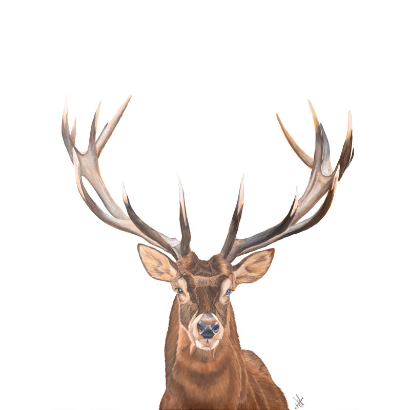 «Oh Deer On Canvas» par Diane Fifer, reproduction, H 18 po x l 12 po x P 1,25 po