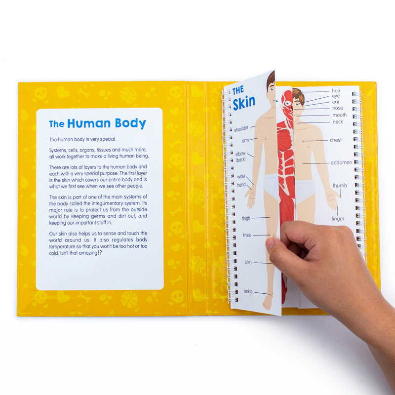 Educational Game or Tool