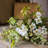 Daisy Arrangement