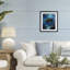 Oceanic Adventurer Tortoise Framed Print Under Glass, design by Franklyn Gregory-130831523-130831526