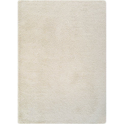 Washable Indoor Area Rug