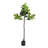 74'' Faux Fiddle Leaf Tree in Planter