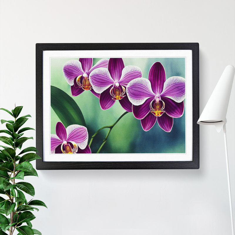 Luscious Orchid Flowers - Single Picture Frame Print, Black, 34cm H x 46cm W x 2cm D