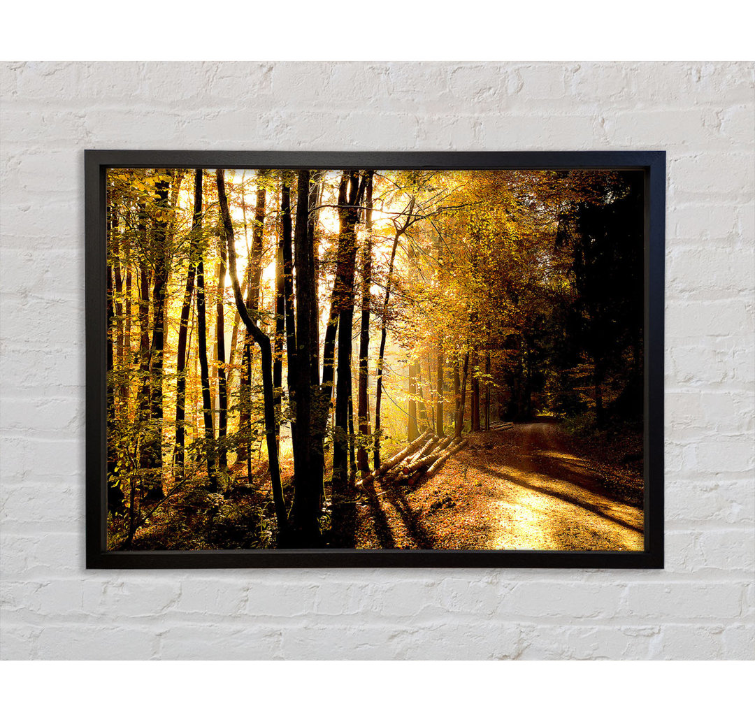 Beautiful Forest Road Autumn - Einzelbildrahmen Kunstdrucke auf Leinwand