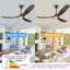 Ceiling Fan With Remote-1648873526-1676954803